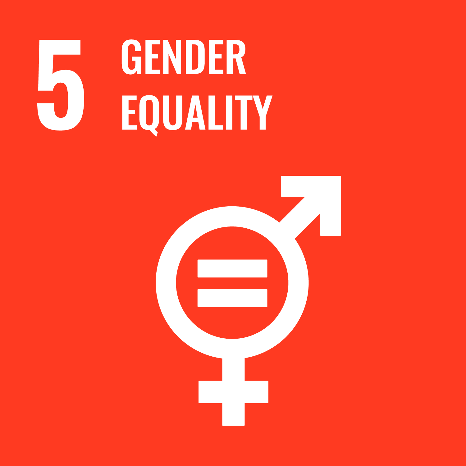 gender inequality icon