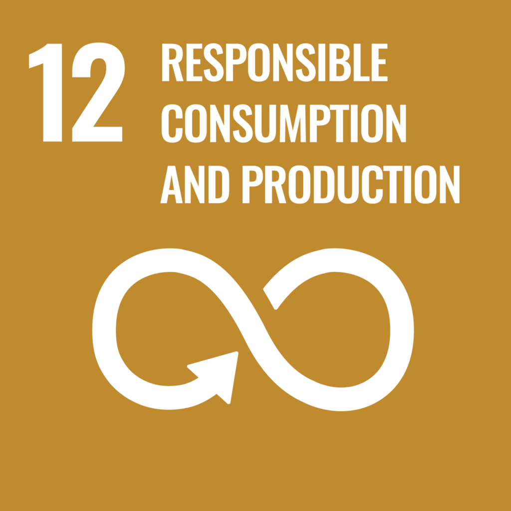 responsible consumption icon